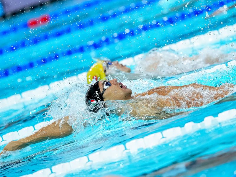 oro nuoto ceccon thomasm dorso sfe02484 copia simone ferraro ph oro nuoto ceccon thomasm dorso sfe02484 copia simone ferraro ph