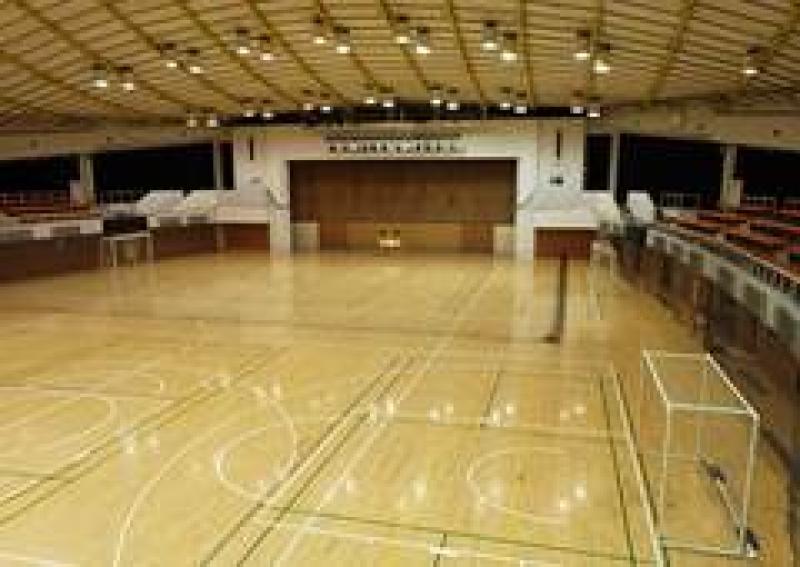 volley volley