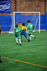 IMG-20190210-WA0010 IMG-20190210-WA0010