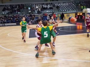 IMG-20190220-WA0065 IMG-20190220-WA0065