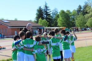 IMG_4937 IMG_4937