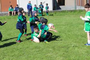 IMG_4947 IMG_4947