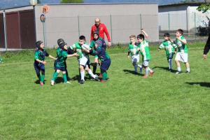 IMG_4959 IMG_4959