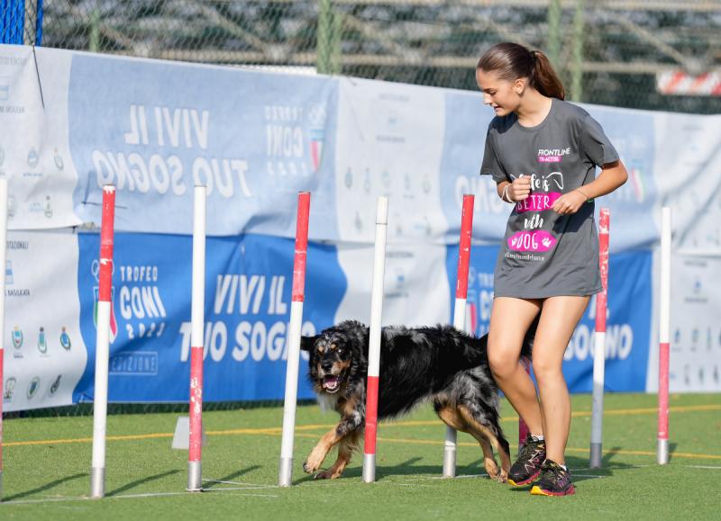 Agility Dog Trofeo CONI Ph Simone Ferraro SFA02031 Agility Dog Trofeo CONI Ph Simone Ferraro SFA02031