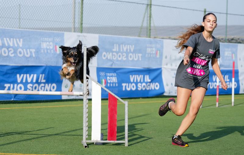 Agility Dog Trofeo CONI Ph Simone Ferraro SFA02032 Agility Dog Trofeo CONI Ph Simone Ferraro SFA02032