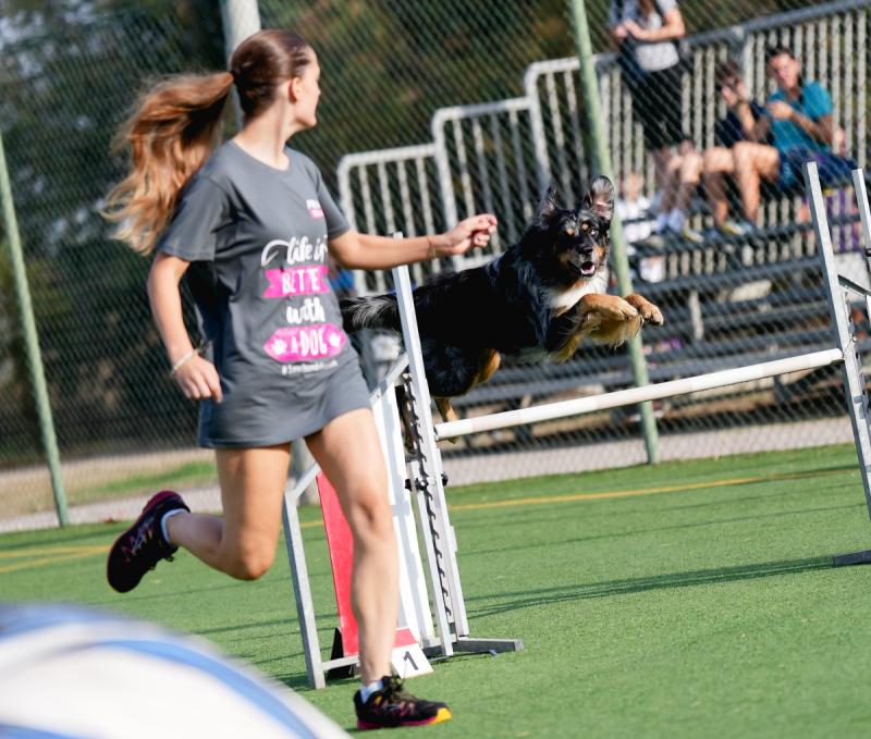 Agility Dog Trofeo CONI Ph Simone Ferraro SFA02045 Agility Dog Trofeo CONI Ph Simone Ferraro SFA02045