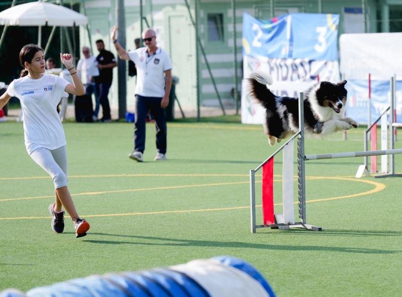 Agility Dog Trofeo CONI Ph Simone Ferraro SFA02053 Agility Dog Trofeo CONI Ph Simone Ferraro SFA02053