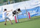 Agility Dog Trofeo CONI Ph Simone Ferraro SFA02074 Agility Dog Trofeo CONI Ph Simone Ferraro SFA02074