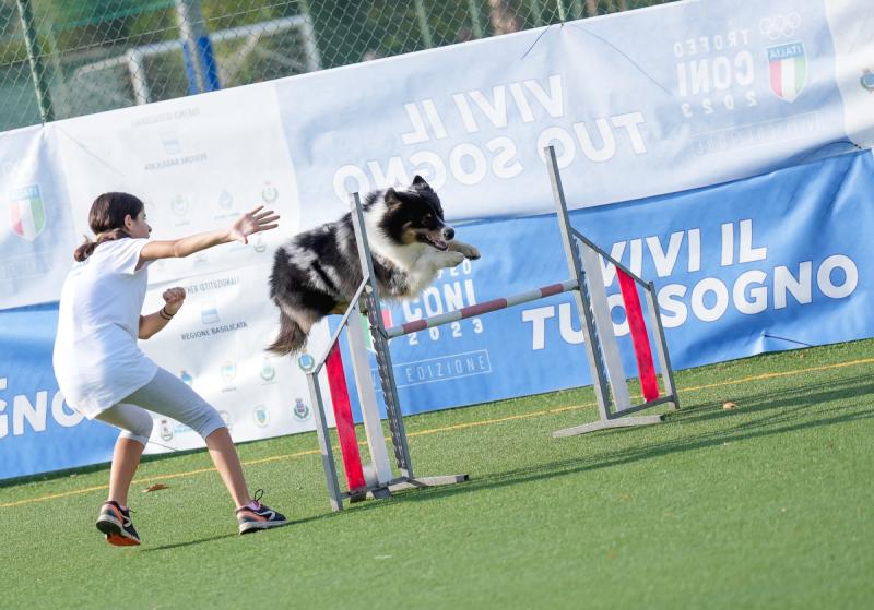 Agility Dog Trofeo CONI Ph Simone Ferraro SFA02074 Agility Dog Trofeo CONI Ph Simone Ferraro SFA02074