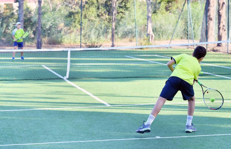 sfa_7347_copia_20190927_1786773609 sfa_7347_copia_20190927_1786773609