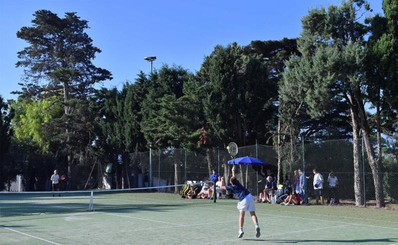 sfa_7433_copia_20190927_1015019543 sfa_7433_copia_20190927_1015019543