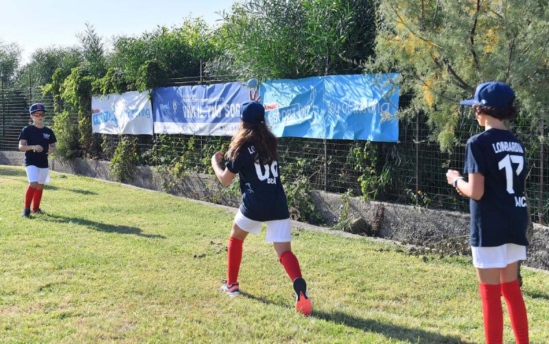 sfa_7562_copia_20190927_1630848718 sfa_7562_copia_20190927_1630848718