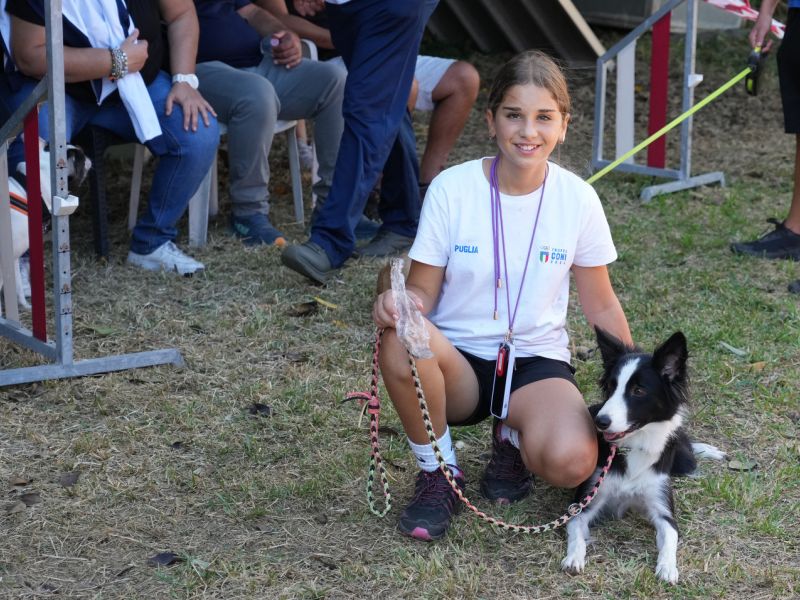 trofeo coni agility dog sfe08626 simone ferraro ph trofeo coni agility dog sfe08626 simone ferraro ph