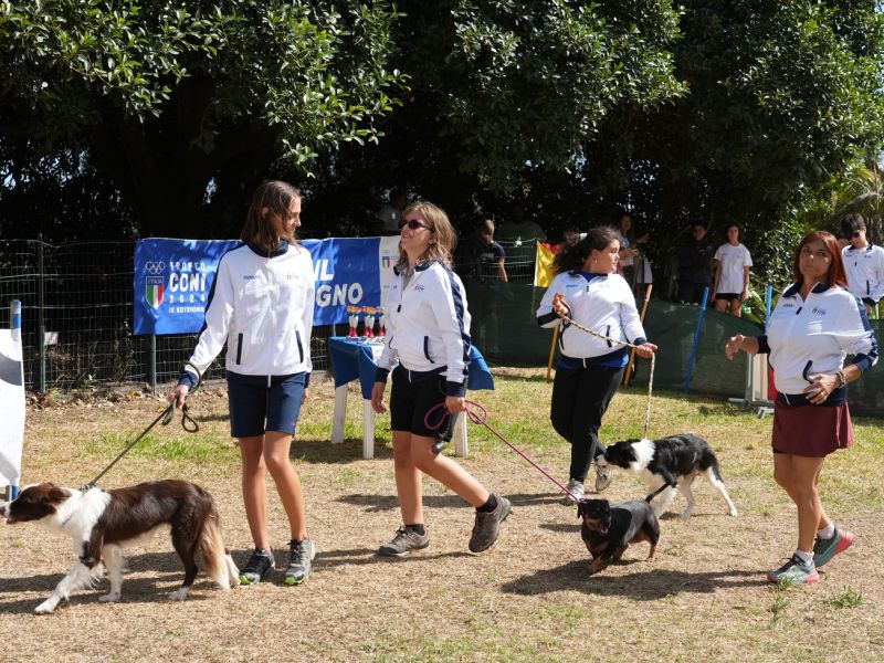 trofeo coni agility dog sfe08685 simone ferraro ph trofeo coni agility dog sfe08685 simone ferraro ph