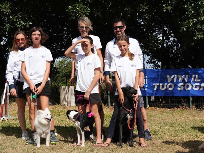 trofeo coni agility dog sfe08797 simone ferraro ph trofeo coni agility dog sfe08797 simone ferraro ph
