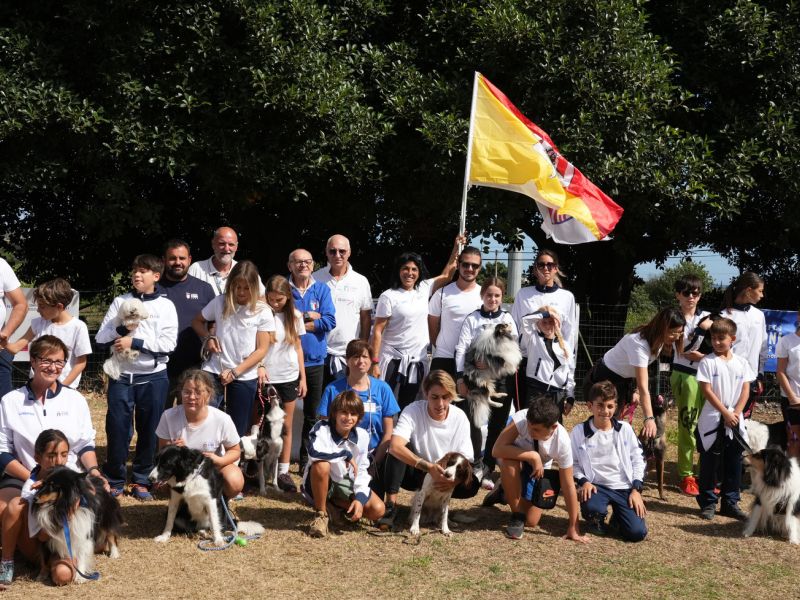 trofeo coni agility dog sfe08864 simone ferraro ph trofeo coni agility dog sfe08864 simone ferraro ph