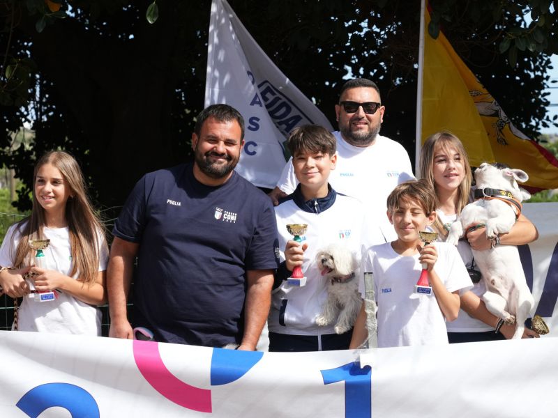 trofeo coni agility dog sfe08958 simone ferraro ph trofeo coni agility dog sfe08958 simone ferraro ph