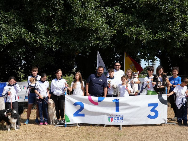 trofeo coni agility dog sfe08969 simone ferraro ph trofeo coni agility dog sfe08969 simone ferraro ph