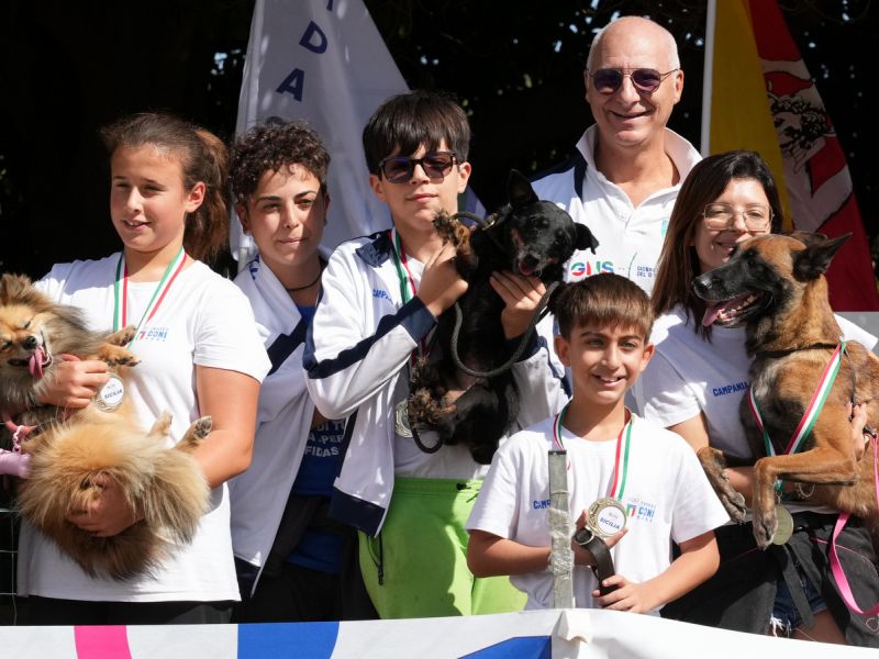 trofeo coni agility dog sfe09071 simone ferraro ph trofeo coni agility dog sfe09071 simone ferraro ph