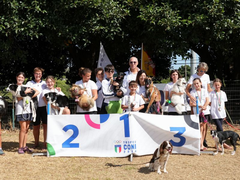 trofeo coni agility dog sfe09081 simone ferraro ph trofeo coni agility dog sfe09081 simone ferraro ph