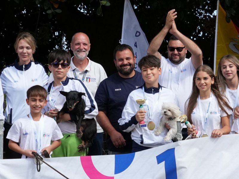 trofeo coni agility dog sfe09192 simone ferraro ph trofeo coni agility dog sfe09192 simone ferraro ph