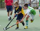 trofeo coni hockey sfe06717 simone ferraro ph trofeo coni hockey sfe06717 simone ferraro ph
