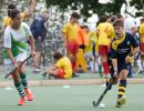 trofeo coni hockey sfe06893 simone ferraro ph trofeo coni hockey sfe06893 simone ferraro ph