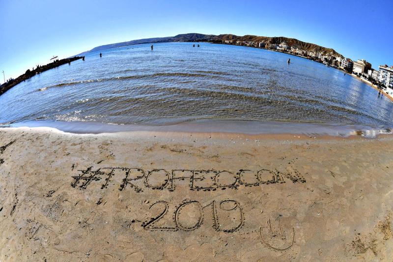 sfa_9729_copia_20190928_1230737290 sfa_9729_copia_20190928_1230737290