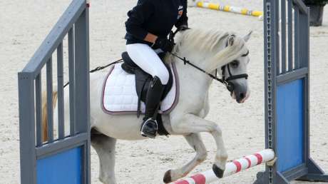 Sport Equestri Ph Luca Pagliaricci LPA00036 copia 