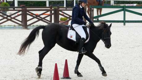Sport Equestri Ph Luca Pagliaricci LPA09859 copia 