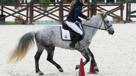 Sport Equestri Ph Luca Pagliaricci LPA09966 copia 