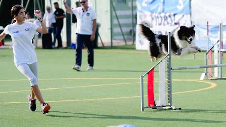 Agility Dog Trofeo CONI Ph Simone Ferraro SFA02053