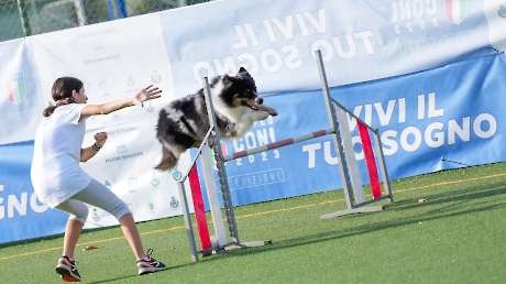 Agility Dog Trofeo CONI Ph Simone Ferraro SFA02074