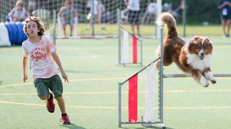 Agility Dog Trofeo CONI Ph Simone Ferraro SFA02116
